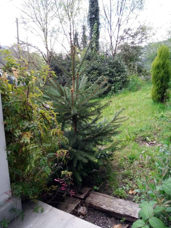 El Rinconin De Degu Villa San Juan de Parres Bagian luar foto